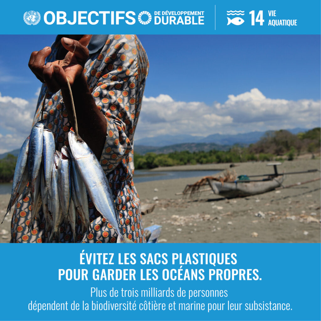 au premier plan, une personne tiens plusieurs poissons accroché ensemble a l'aide d'un fils
en arrière plan une plage jonché de déchets plastique