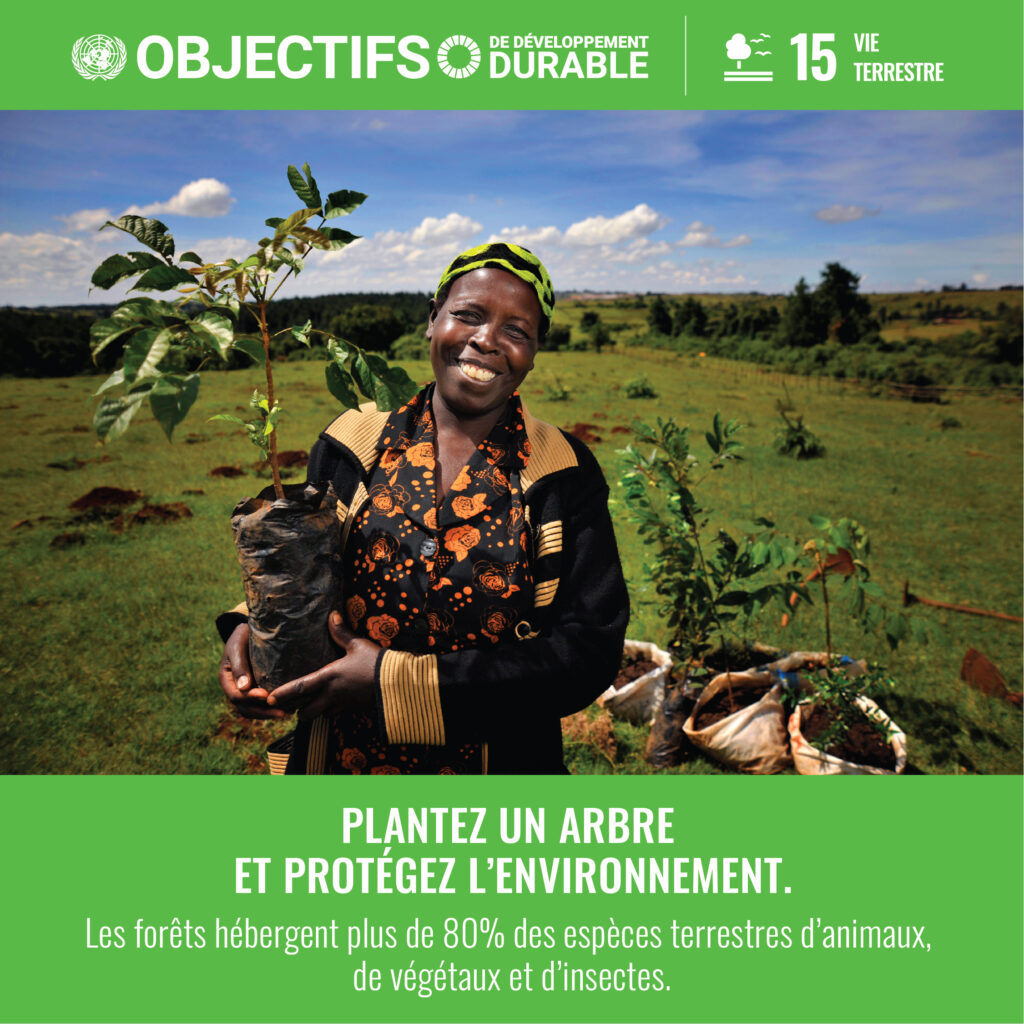 une femme souriante tien fièrement un plant d'arbre, elle participe activement a la reforestation de la planète.